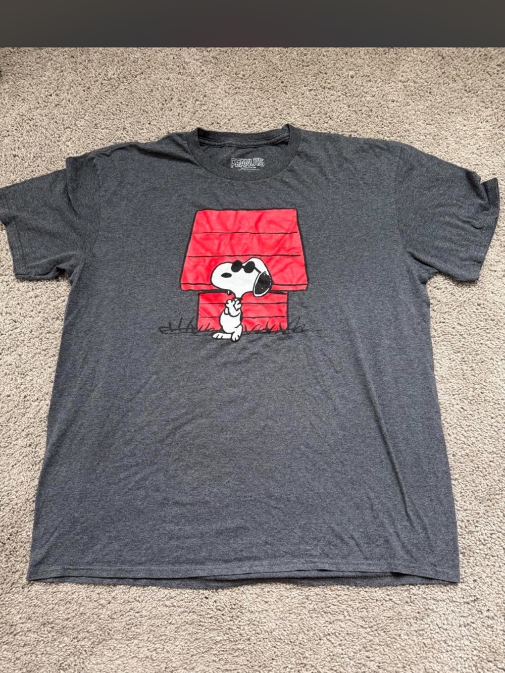 Peanuts Snoopy Doghouse Gray Graphic T-Shirt Men’s
